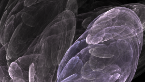 REMIXEDCAT-FoundYourSocks-222