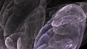 RMXCAT-FoundYourSocks-222 (1)